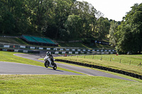 Middle Group White Bikes